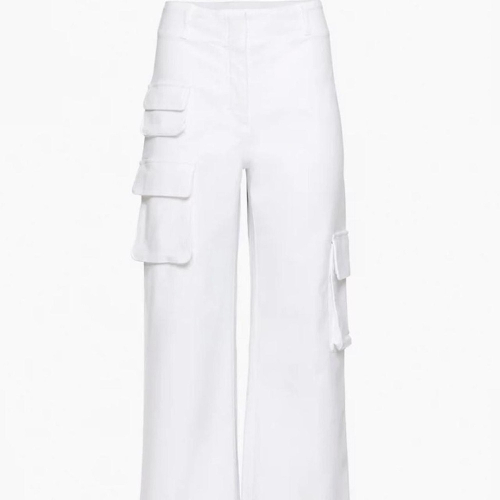 Aritzia picture pant